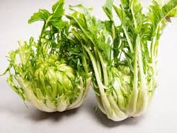 Les Puntarelle